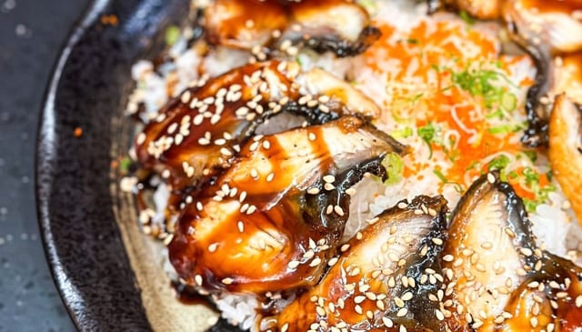 A18 Unagi Don.